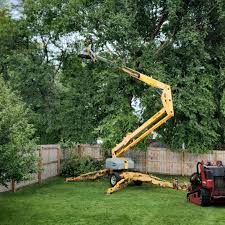 Best Hazardous Tree Removal  in Norwalk, OH